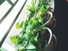 -清心素食自助餐厅(夫子庙店)