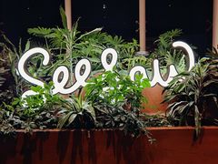 -Seesaw Coffee(朝阳大悦城店)