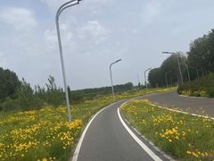 -花园口旅游区