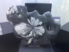 -中国地质大学逸夫博物馆