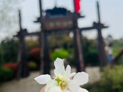 -杭州半山国家森林公园