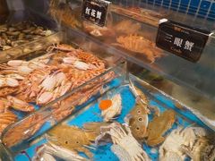 -加餐海鲜自助(宝龙一城店)