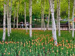 -长春公园(普阳街道)