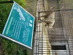 android_upload_pic-广东茂名森林公园