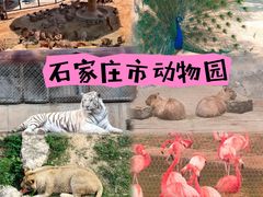 -石家庄市动物园