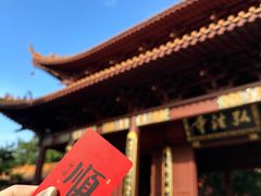 -深圳仙湖植物园