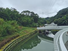 -梧桐山风景名胜区