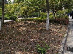 -江南大学(蠡湖校区)