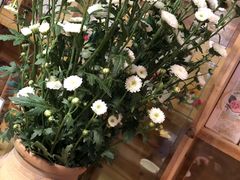 -吃货私房菜(丽江束河古镇店)