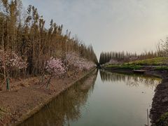 -东平国家森林公园
