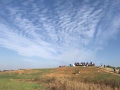 -空港花田景区