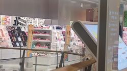 -THE COLORIST调色师