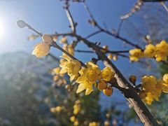 -月坛公园