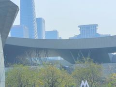 -深圳市当代艺术与城市规划馆