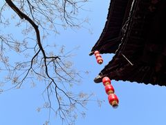 -花戏楼