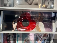 -浣熊唱片店(上海影城店)