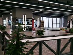 -金吉鸟健身游泳