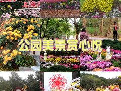 -共青国家森林公园-售票处