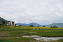 -纳帕海依拉草原
