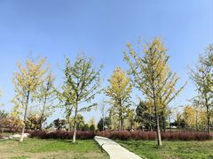 -汉长安城未央宫国家考古遗址公园