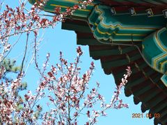 -北宫国家森林公园