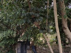 -广东金融学院(校本部)