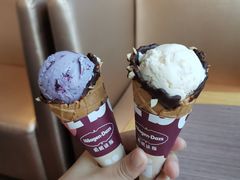 -哈根达斯(石家庄北国店)