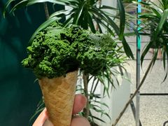 -鹤茶野所(上海首店)