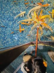 -酷嗒动物文化乐园(cutezoo西溪乐天城店)