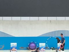 -北戴河圣蓝海洋公园