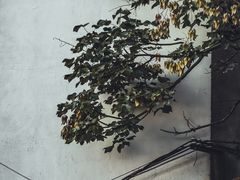 -阳明祠