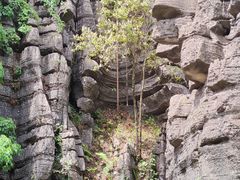 -梭布垭石林景区