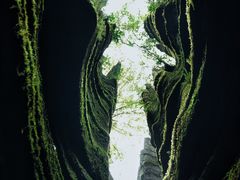 -梭布垭石林景区