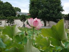 -石燕湖生态旅游景区