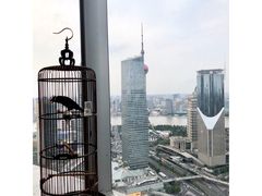 -上海中心大厦