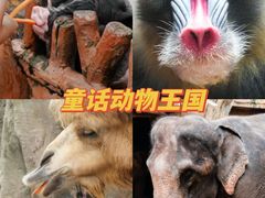 -长鹿旅游休博园
