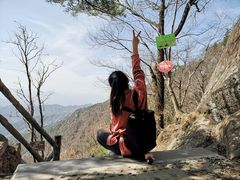 -王顺山国家森林公园