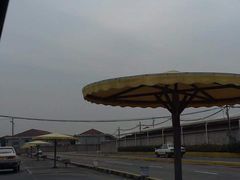 -胜华驾校·小猫学车(银都店)