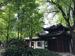-汇龙潭