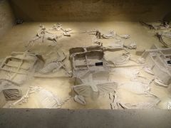 -洛阳周王城天子驾六博物馆