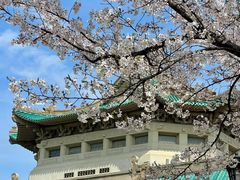 -武汉大学-樱园