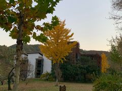 -仙居谷风景区