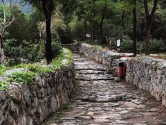 -阳台山自然风景区
