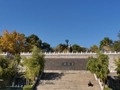 -放鹰台遗址