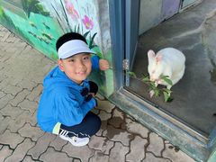 -西霞口神雕山野生动物世界