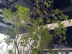 -Pekaa啤咖食肆Coffee&Bistro