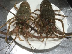 -春秋火锅(复兴中路店)