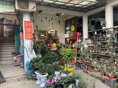 -苏州市皮市街花鸟工艺品市场