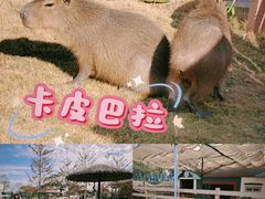 -盈香心动乐园