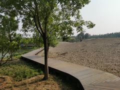 -东郊湿地公园